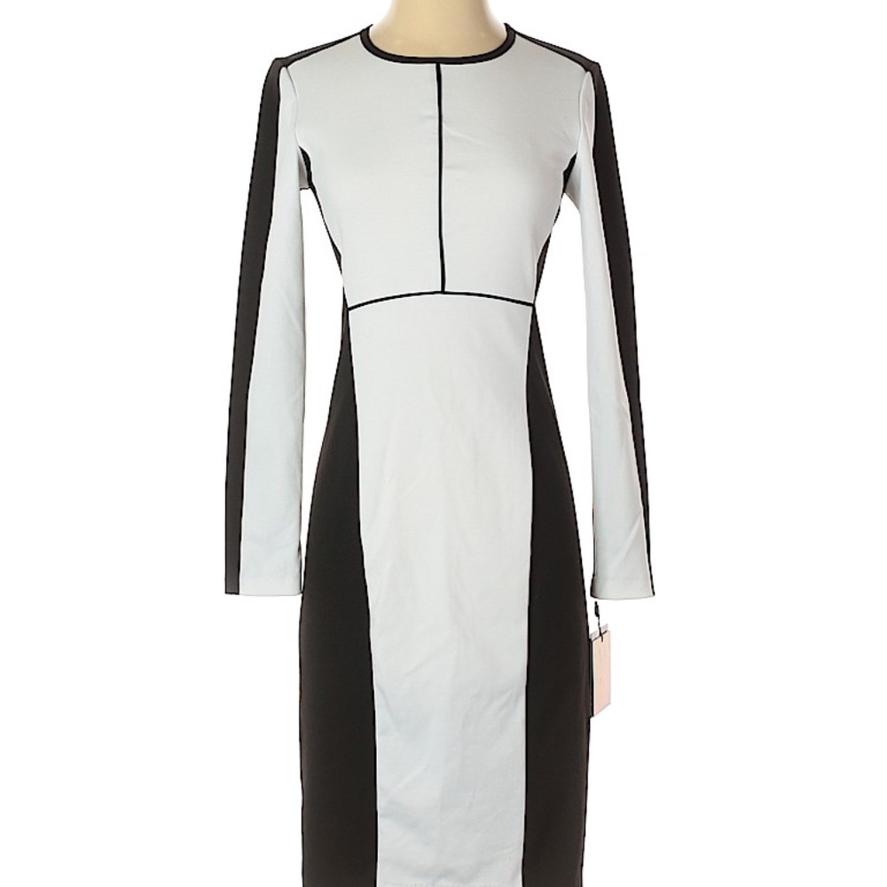 Color Block Narciso Rodriguez dress